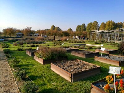 Architecture botanic city