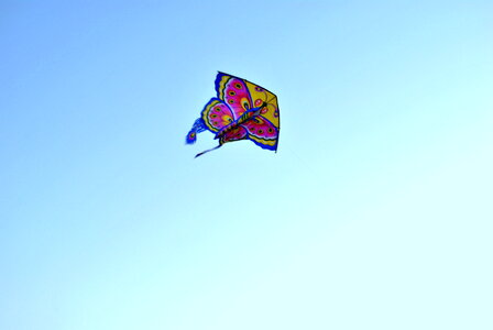 Butterfly Shaped Kite