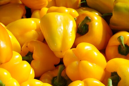 Red pepper food capsicum photo