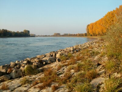 Rhine river in Germany photo