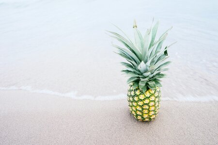 Tropical food sand