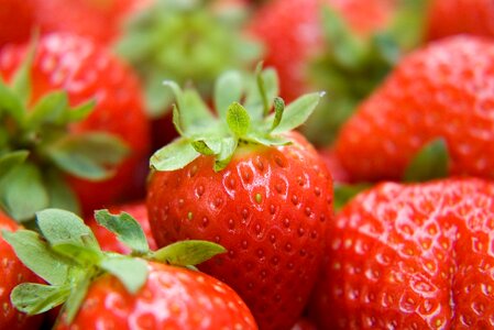 Health fresh food
