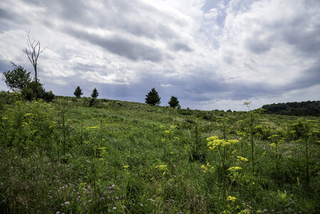 Heavy clouds over the grassland at Goose Lake Wildlife Area