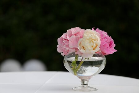 Bouquet pinkish roses photo
