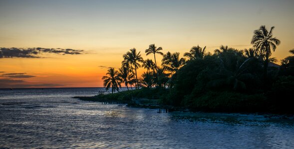 Water beach nature