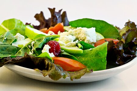 Diet health dieting