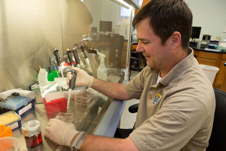 FWS biologist propagates freshwater mussels in a labratory-1