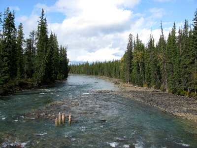 Whirlpool River landscape in Jasper National Park, Alberta, Canada photo