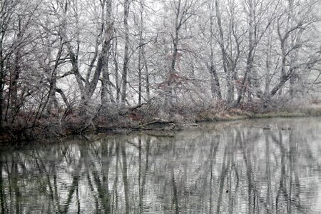 Snow frost reflection landscape photo