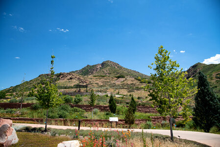 Large Mountain inside the Botanical Gardens photo