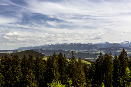 Landscape of mountains and trees photo