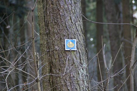 Shield trail pilgrimage