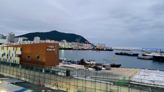 Jagalchi Market in Pusan South Korea photo