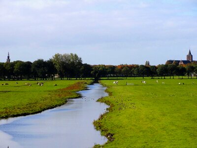 Water fields grass