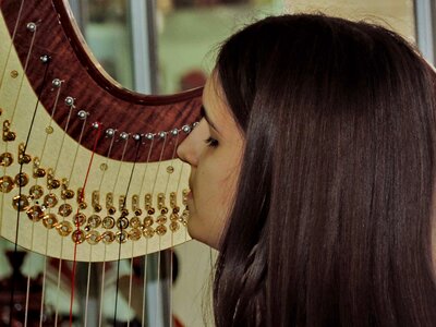 Brunette glamour musician