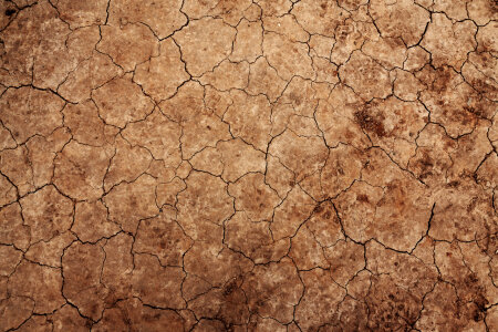 Cracked Earth Texture photo