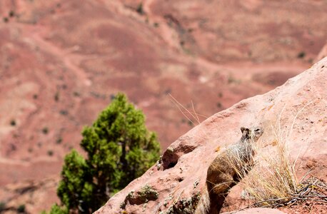Canyonlands National Park, Utah
