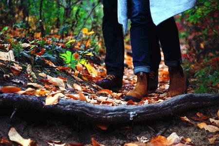 Fashion forest leaf