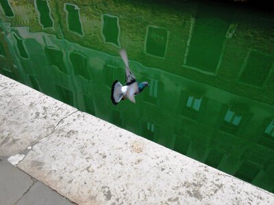 Water sea reflection