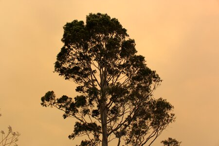 Cloudy environment sun photo