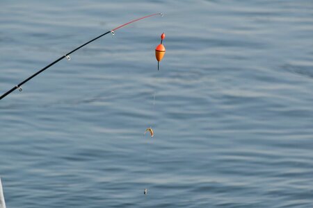 Fishing Gear fishing rod equipment photo
