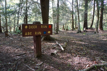 Sign Deer Run Trail Canaan Valley, West Virginia photo