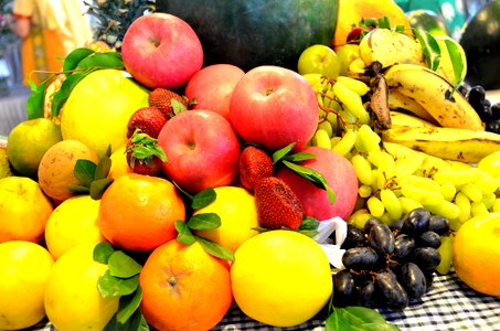 Agriculture apple arrangement