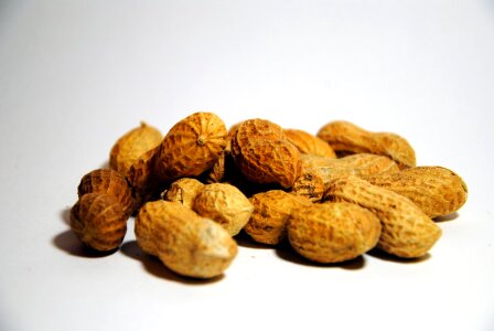 Peanut healthy snack photo