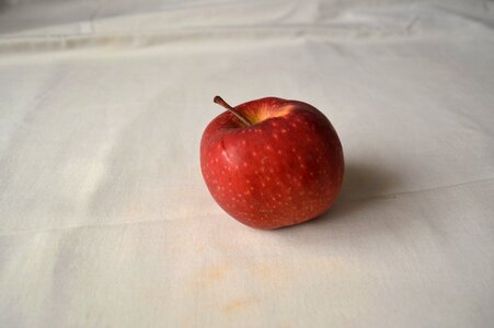 Agriculture apple apples