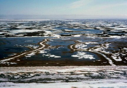 Scene snow wetland