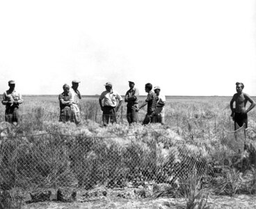 Array field work image