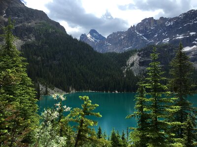 Lake O'Hara, Yoho National Park, Canadian Rockies photo