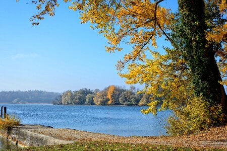 Lake water nature