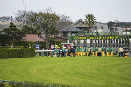 2 Starting gate