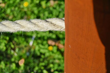 Wood rope nature