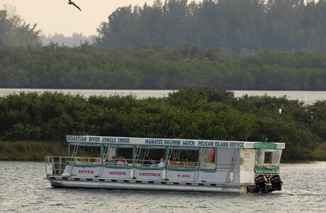 Boat tour on Sebastian River Jungle Cruise