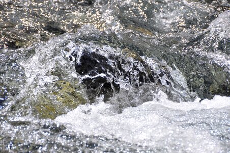 Bubble creek splash photo