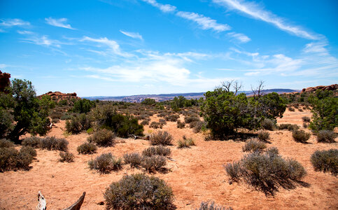 Blue Skies over the vast Desert photo