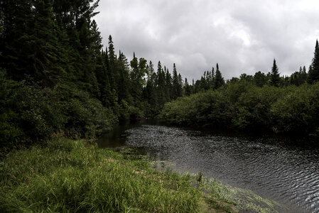 Winding River scenery in Algonquin provincial Park, Ontario photo