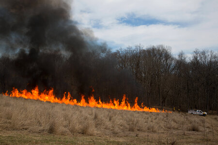 Prescribed burn at NCTC -1 photo