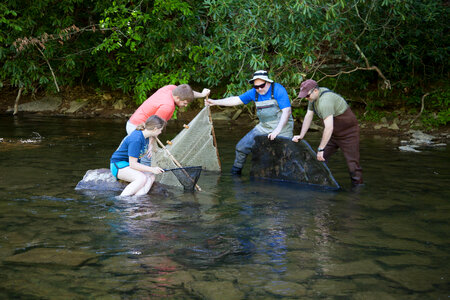Biology fieldwork-1