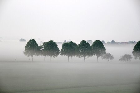 Fog landscape atmosphere