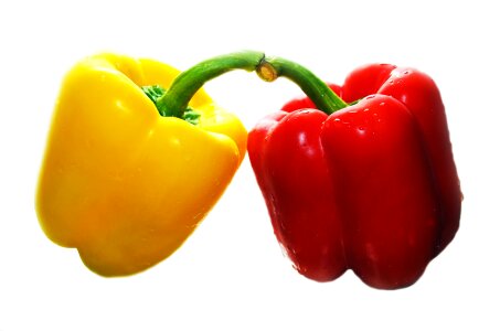 Cook cooking diet
