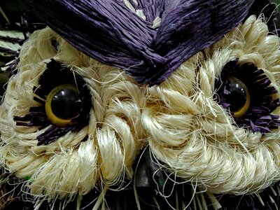 Eyes handmade owl