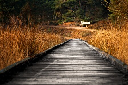 Nature conservation autumn landscape
