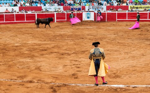 Traditional corrida - bullfighting in spain