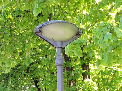Branches cast iron lamp