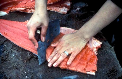 Fish flesh processing
