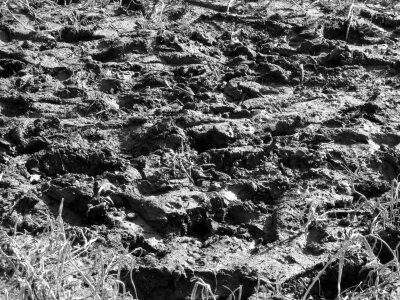 Texture background soil photo