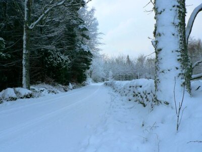 Road winter 